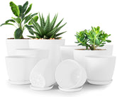 Utopia Home 7-inch indoor plant pot with drainage for indoor gardening and root care