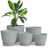Utopia Home 7-inch indoor plant pot with drainage for healthier roots and neat décor