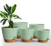 Utopia Home self-watering pot 6.8-inch with reservoir for steady root moisture