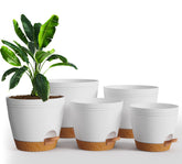 Utopia Home self-watering pot 6.8-inch with reservoir for indoor moisture