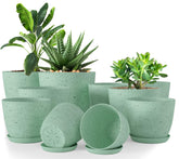 Utopia Home spotty mint pot 7in ideal for succulents with drainage
