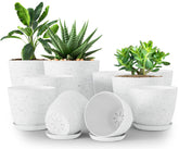 Utopia Home spotty plant pots with drainage holes for healthy roots.