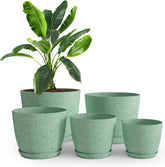 Utopia Home spotty mint plant pots 5-pack for stylish indoor greenery