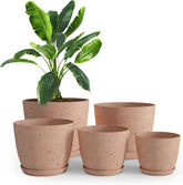 Utopia Home spotty plant pot in speckled peach pink for vibrant windowsill display