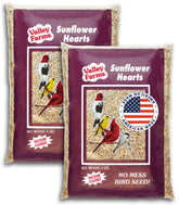 Valley Farms sunflower hearts in a feeder offer clean, whole seeds for backyard birds.