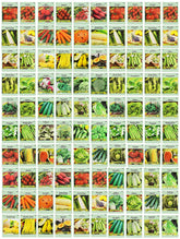 Valley Greene deluxe heirloom seeds pack—great for a diverse home garden.