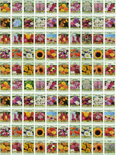 Valley Greene set of 100 flower seed packets for a diverse, colorful garden.