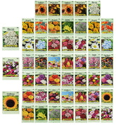 Valley Greene Set50 seed packets collection for vibrant, pollinator-friendly color