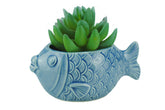VanEnjoy 5-inch ceramic seashell succulent pot for windowsills and small plant displays.