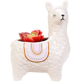 VanEnjoy 6-inch alpaca succulent pot on a bright windowsill adds playful indoor charm.