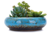 VanEnjoy 7.3-inch round blue glaze planter front view for elegant succulent displays.