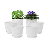 Vanslogreen 8-inch white pot with saucers for cohesive indoor gardening