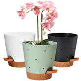 Vanslogreen orchid pot with holes—perforated exterior for better airflow and drainage.