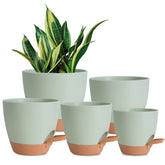 Vanslogreen self-watering pot 7-inch with reservoir promotes easy indoor plant care.