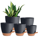 Vanslogreen self-watering pot with reservoir keeps indoor plants evenly moist.