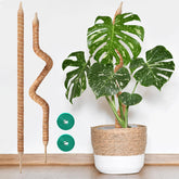 Vanut bendable moss pole 28in arch shape supports climbing plants with steady stability.