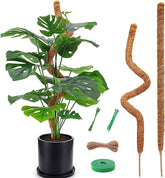Vastcury moss pole 25 inch bendable supports climbing monstera for upward growth