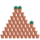 Vensovo 2-inch terracotta pot with drainage, ideal for small succulents.