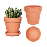 vensovo 6-inch terracotta pots pair with drainage holes for healthy indoor plants.
