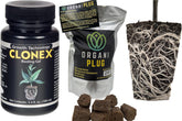 Ventana Clonex rooting gel application supports consistent cloning and even surface coverage