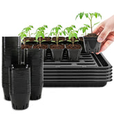 Verdanzia seed starter tray keeps seedlings organized during propagation