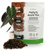 Veryplants Molly's Aroid Mix with bark chips for fast drainage and airier roots.