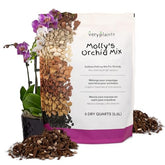 VeryPlants Molly's orchid potting mix with bark and lava rock provides excellent drainage.