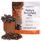 VeryPlants Molly's Succulent Mix bag front, a clean soil-free blend for tidy planters.