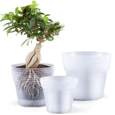 Vesici 8-inch clear nursery pot showing root visibility for transplanting.