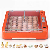 VEVOR 36-egg incubator 360 view shows even temperature distribution for reliable hatch