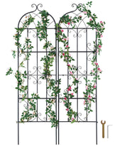 VEVOR 71x20 in two-pack garden trellis supports climbing roses in outdoor space