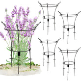 VICAMB 4 pack peony cage supports roses upright for a tidy garden