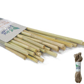 VicaVerde 4 ft bamboo stakes provide sturdy plant support.