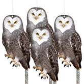 Vicsiyi fake owl double-sided deterrent protects garden.