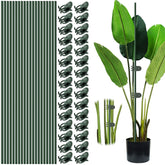 Vidroxin plant stakes with clips set offers discreet support for multiple indoor and outdoor pots.