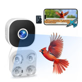 Viigytek Smart Bird Camera with glass suction cup for close window observation