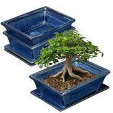 Villa Como bonsai pots small shallow 2-pack in blue glaze for indoor bonsai display