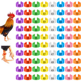 Vin Beauty 80-pcs colorful bands for easy poultry ID.