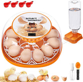 Viowey 12-egg incubator with 360-degree lid view for easy observation