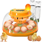 Viowey incubator 360-view lid for non-intrusive hatch monitoring and easy progress checks.
