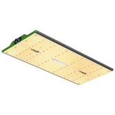 VIPARSPECTRA P2000 with new diode layout for uniform light distribution supporting even seedling growth.