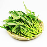 VISTATU water spinach seed packet promoting strong germination for quick home harvest