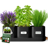 Volila herb planter indoor 3-pack in black pots with drainage holes for a compact windowsill garden