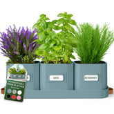 Volila herb planter indoor teal pots with leather tray for easy portability