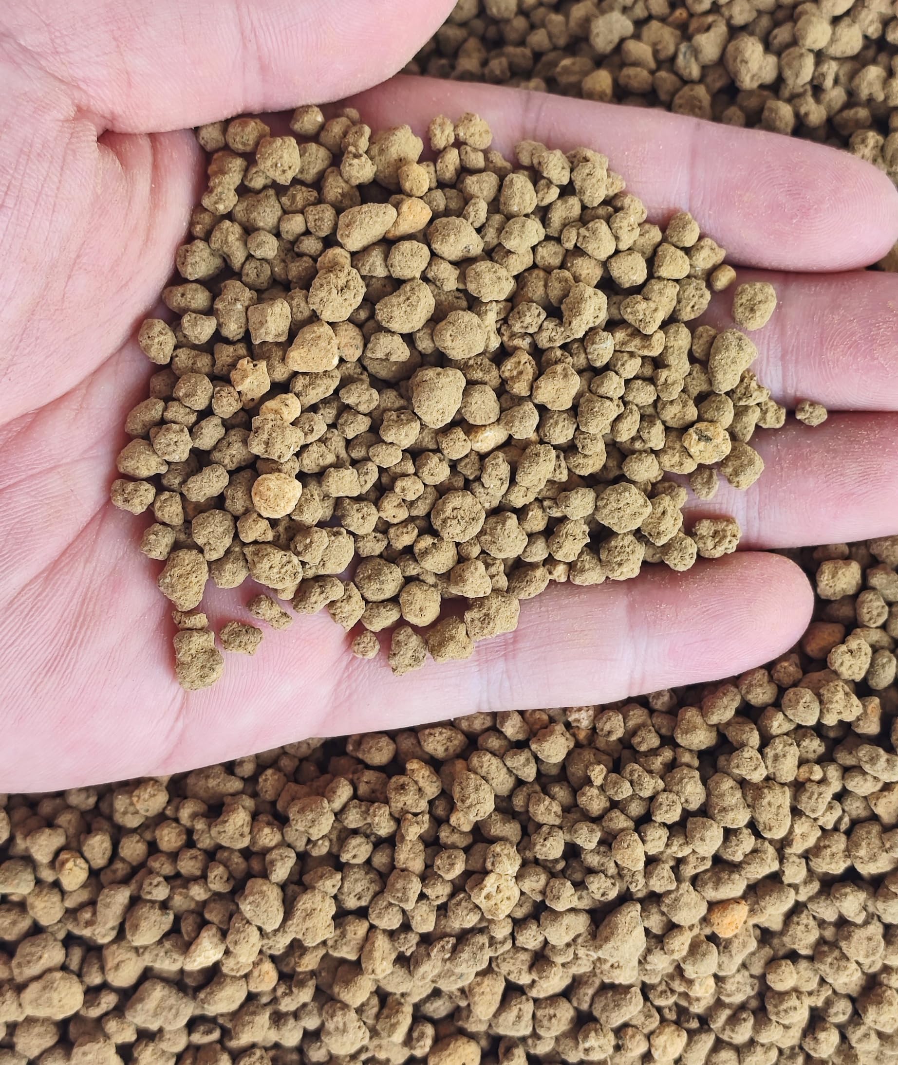 Voulosimi Akadama soil for cactus and bonsai enhances root health and moisture balance.