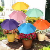 VZZNN plant umbrella canopy 23.6 inches shields delicate greens from harsh sun.
