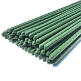 WAENLIR garden stakes 60-inch in use to support tall tomato plants