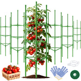 WAENLIR tomato cage with 72 stakes provides sturdy frame for tall plants.