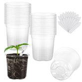 WandaQueen 3.5-inch clear nursery pot showing soil and roots for germination monitoring.