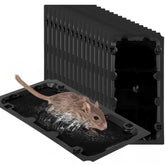 Wanqueen 16-pack sticky mouse trap closeup showing peanut pheromone lure for quick captures.